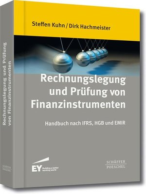 cover image of Rechnungslegung und Prüfung von Finanzinstrumenten